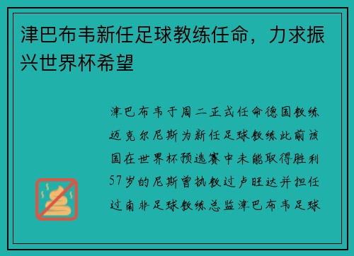 津巴布韦新任足球教练任命，力求振兴世界杯希望